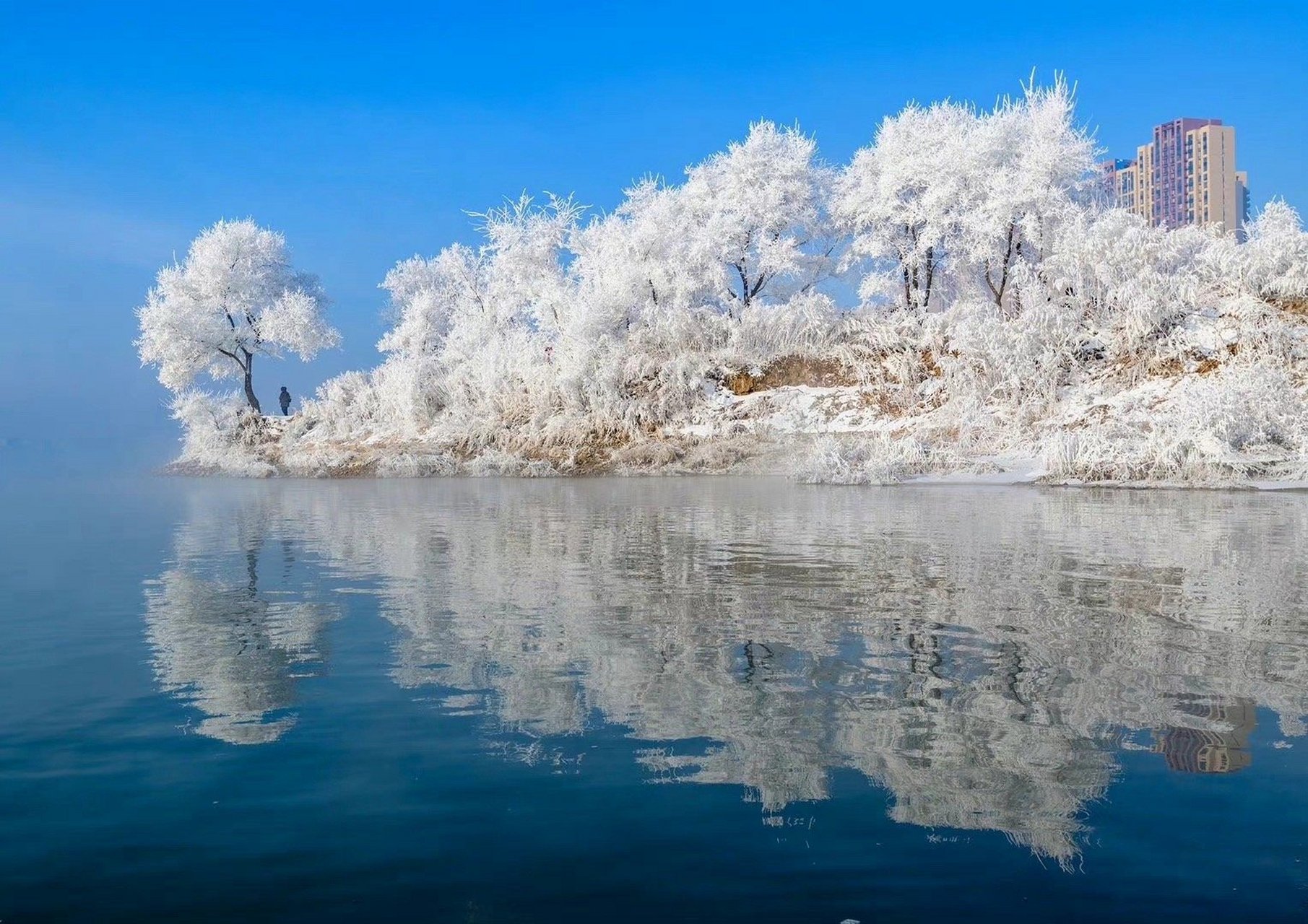 东北亚绿色明珠,吉林的生态魅力探寻