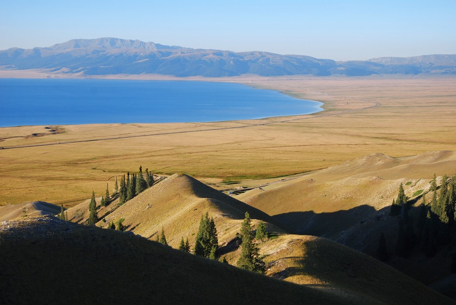 新疆小巷深处的神秘美食小店揭秘